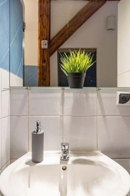 Apartament Pauza 3 Bedroom Apartment! Old Town